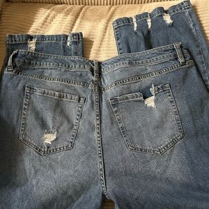 Lane Bryant Classic Blue Denim Jeans